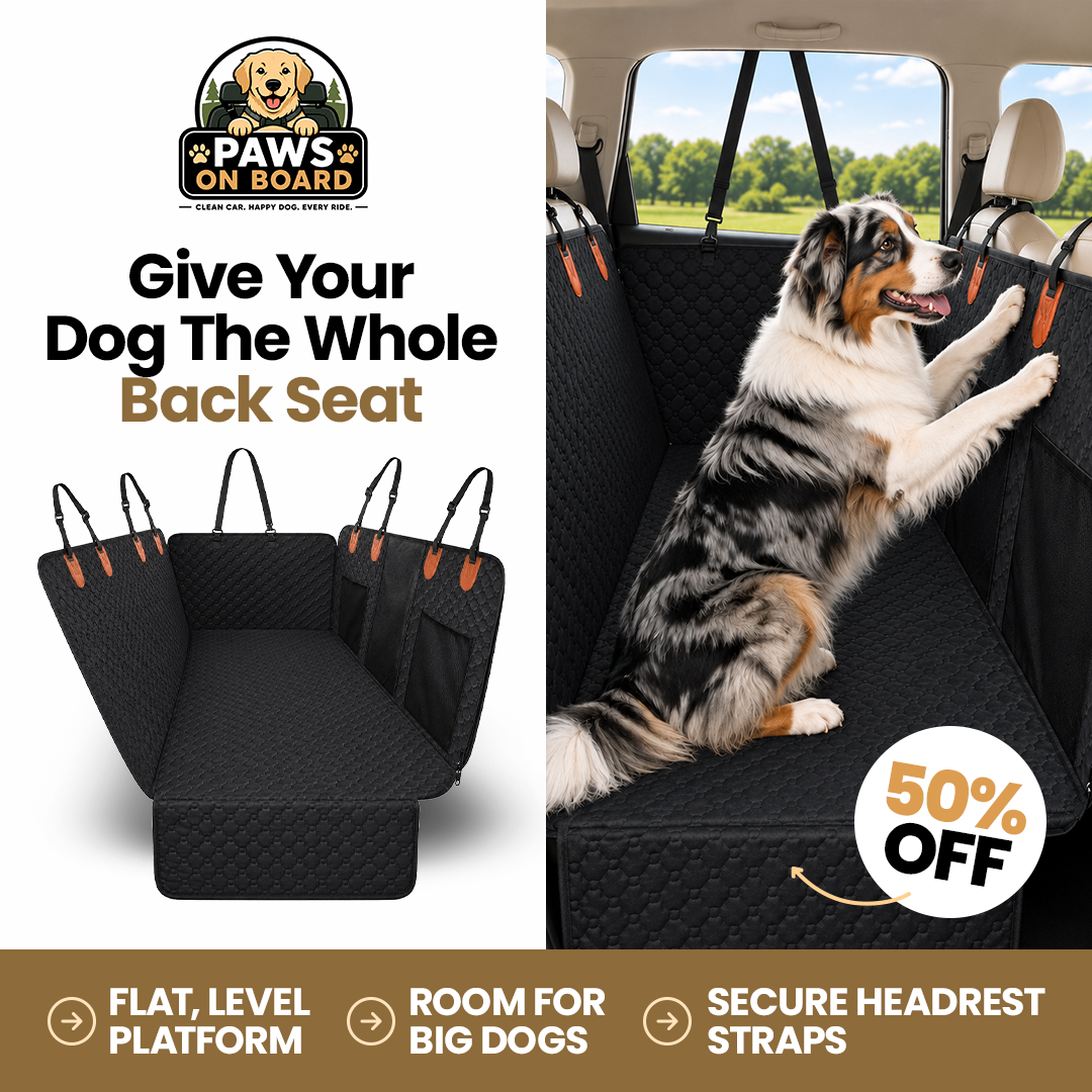 Hard Base Dog Seat Cover
